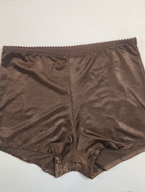 Vassarette Brown  Full Coverage Panties Boyshorts